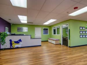 best dog grooming in chicago, canine hotel in chicago, doggy daycare in chicago