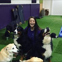 sierra with dogs